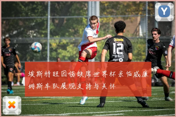埃斯特旺因伤缺席世界杯亲临威廉姆斯车队展现支持与关怀