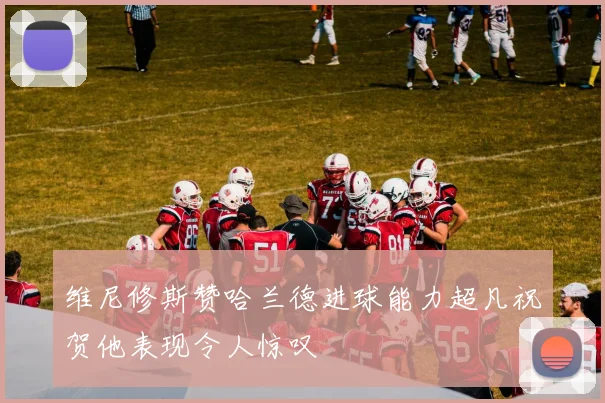 维尼修斯赞哈兰德进球能力超凡祝贺他表现令人惊叹